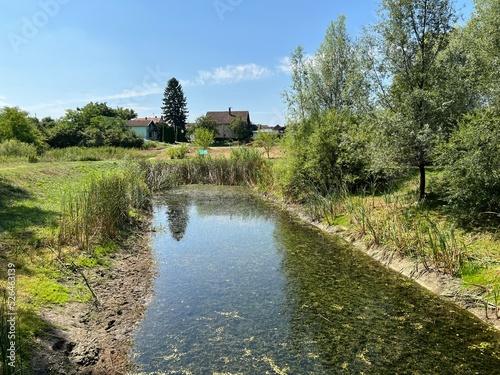 Water channels, floodplains and wetland vegetation in the Kopacki rit nature park - Kopacevo, Croatia (Naplavna područja i močvarna vegetacija u parku prirode Kopački rit - Kopačevo, Hrvatska) photo