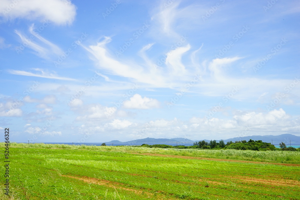 Rural View of Kohama-jima Island in Okinawa, Japan - 日本 沖縄 小浜島 街並み
