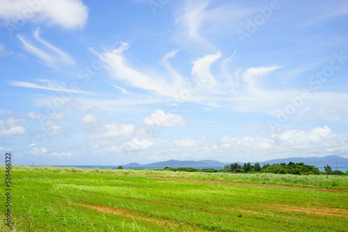 Rural View of Kohama-jima Island in Okinawa, Japan - 日本 沖縄 小浜島 街並み