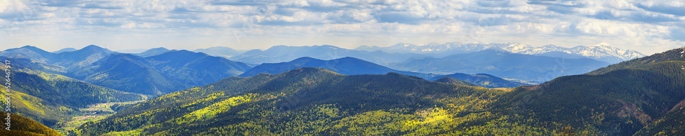 Spring landscape, panorama, banner - view of forested mountains, Carpathian mountains, Ukraine