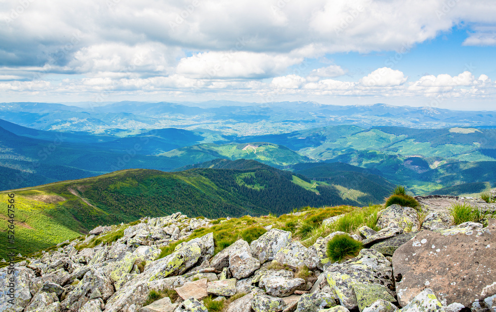 Landscape in green meadows and blooming flowers and snow-capped mountain. Mountains ridge high rocky peaks. Mountain landscape with hiking trail. Mountain path. Springtime landscape in mountains