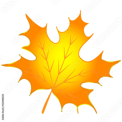 Isolated yellow autumn leaf. Depicted on a white background. Decorative vector illustration.