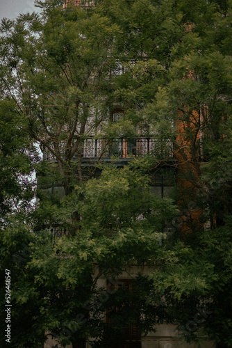 Fachada con naturaleza