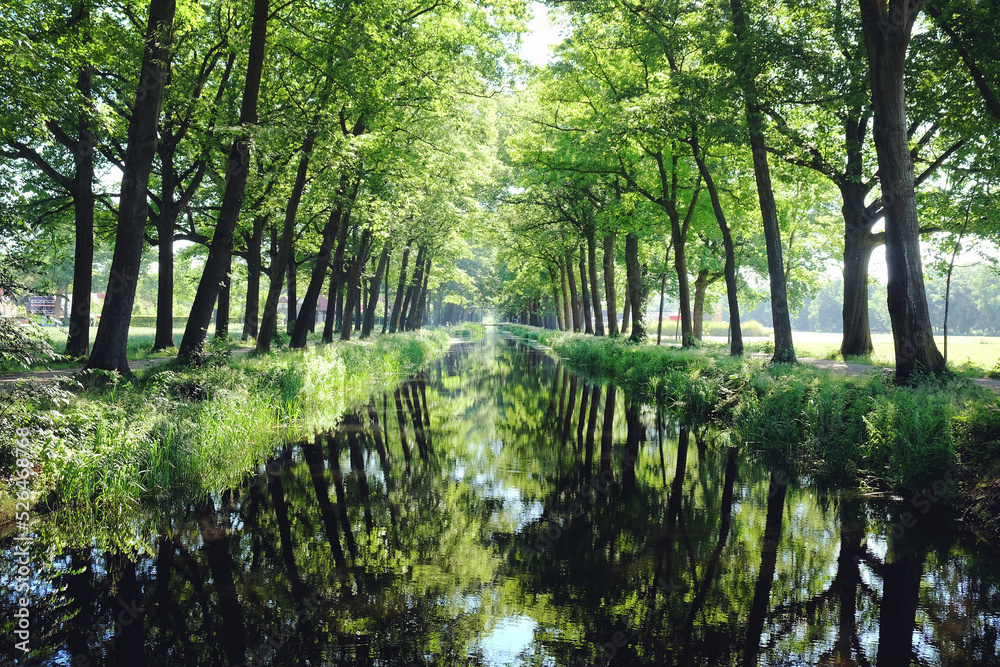 Trees line a typical Dutch canal scene in Griendtsveen, the Netherlands. Trees line a typical Dutch canal scene in Griendtsveen, the Netherlands.