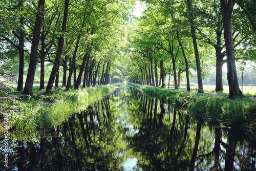 Trees line a typical Dutch canal scene in Griendtsveen  the Netherlands.