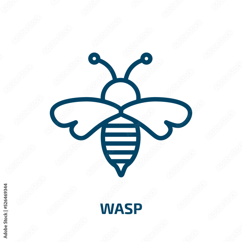 wasp icon from animals collection. Thin linear wasp, nature, ant outline icon isolated on white background. Line vector wasp sign, symbol for web and mobile wasp icon from animals collection. Thin linear wasp, nature, ant outline icon isolated on white background. Line vector wasp sign, symbol for web and mobile