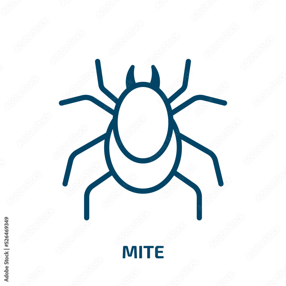 mite icon from animals collection. Thin linear mite, insect, bug outline icon isolated on white background. Line vector mite sign, symbol for web and mobile mite icon from animals collection. Thin linear mite, insect, bug outline icon isolated on white background. Line vector mite sign, symbol for web and mobile
