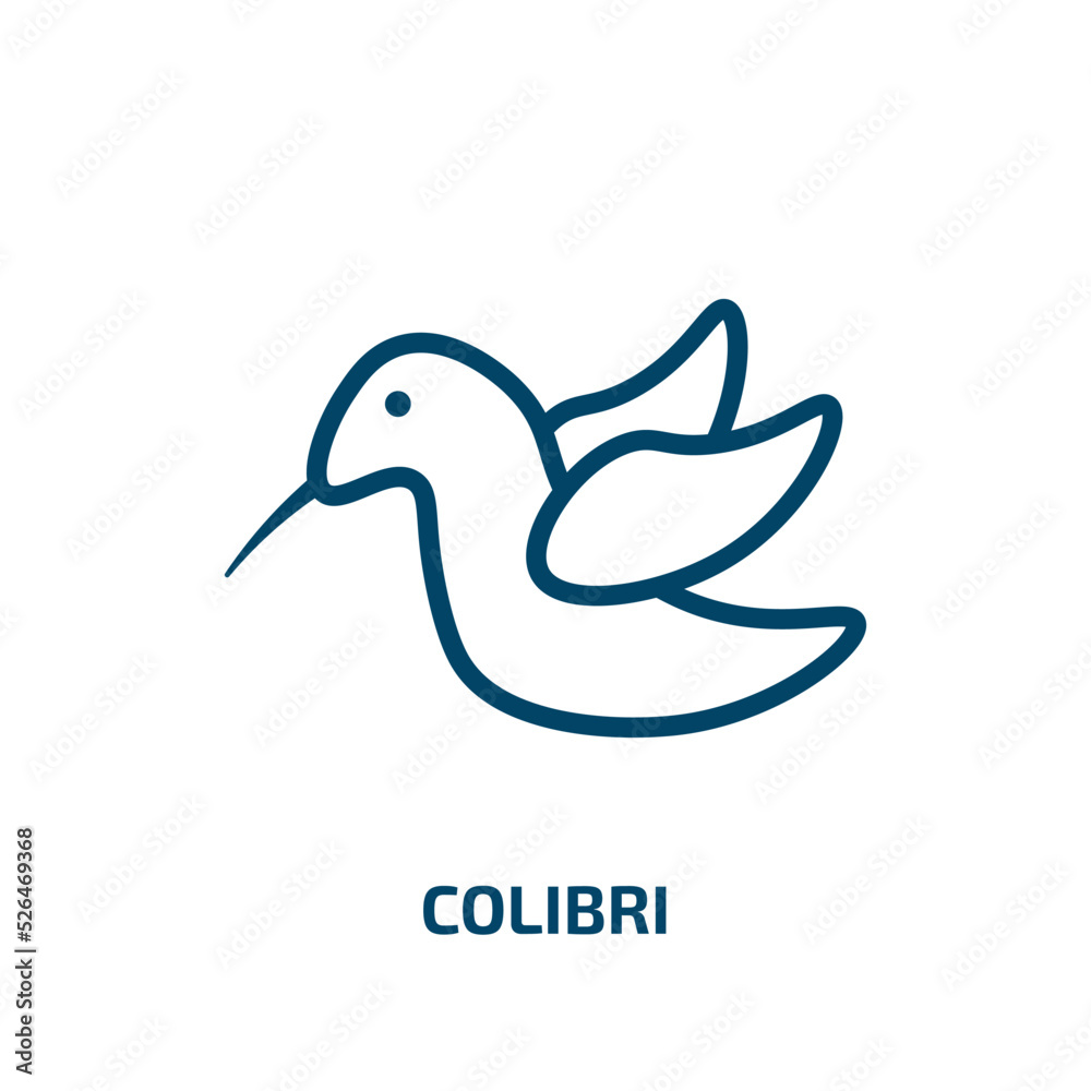 colibri icon from animals collection. Thin linear colibri, logotype, bird outline icon isolated on white background. Line vector colibri sign, symbol for web and mobile colibri icon from animals collection. Thin linear colibri, logotype, bird outline icon isolated on white background. Line vector colibri sign, symbol for web and mobile