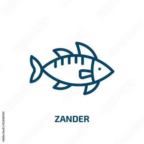 zander icon from animals collection. Thin linear zander, perch, fishing outline icon isolated on white background. Line vector zander sign, symbol for web and mobile