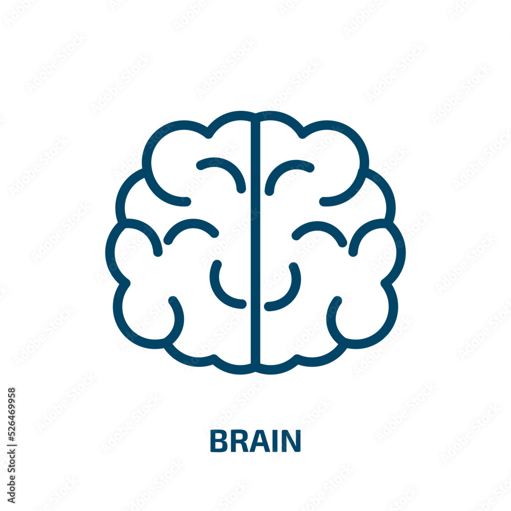 brain icon from artificial intellegence and future technology collection. Thin linear brain, human, idea outline icon isolated on white background. Line vector brain sign, symbol for web and mobile brain icon from artificial intellegence and future technology collection. Thin linear brain, human, idea outline icon isolated on white background. Line vector brain sign, symbol for web and mobile