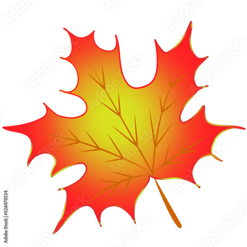 isolated red autumn leaf. Depicted on a white background. Decorative vector illustration.