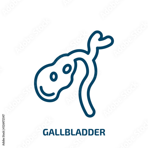 gallbladder icon from medical collection. Thin linear gallbladder, anatomy, health outline icon isolated on white background. Line vector gallbladder sign, symbol for web and mobile