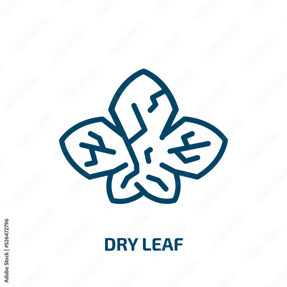 Obraz premium dry leaf icon from nature collection. Thin linear dry leaf, nature, dry outline icon isolated on white background. Line vector dry leaf sign, symbol for web and mobile