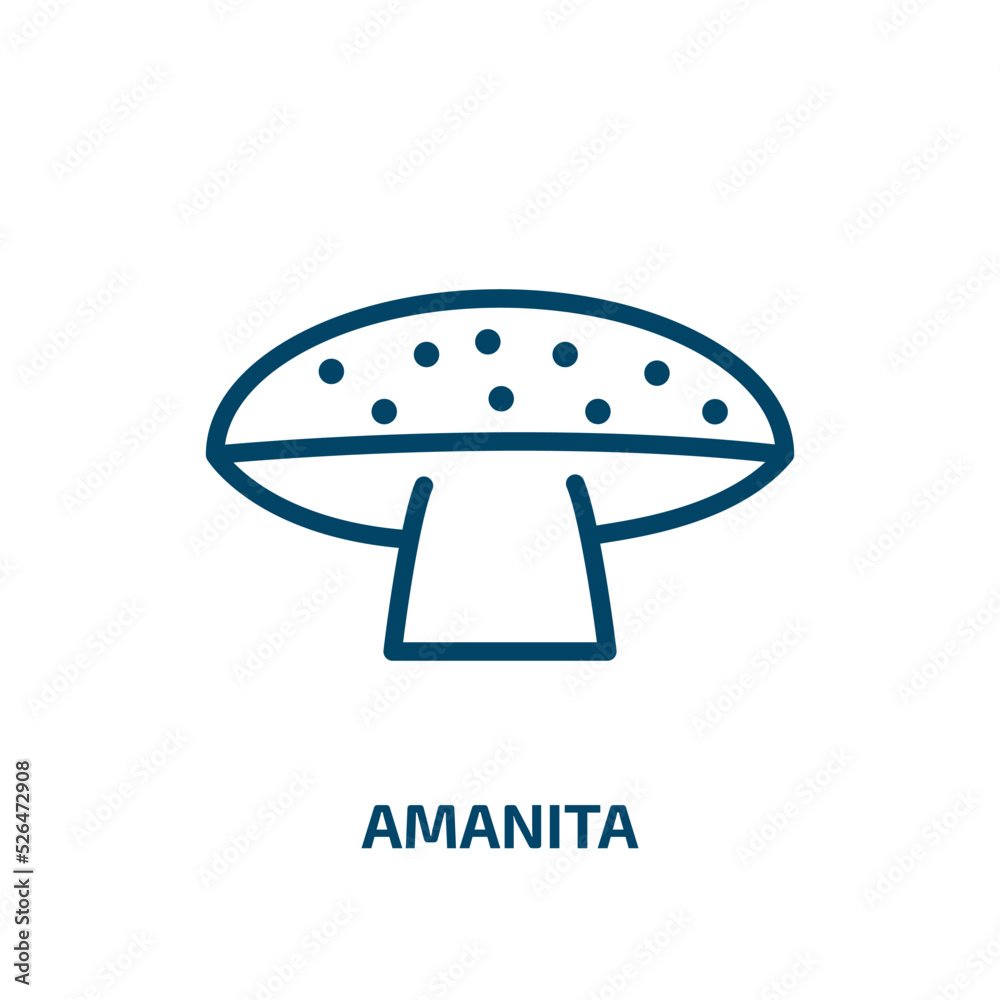 amanita icon from nature collection. Thin linear amanita, danger, mushroom outline icon isolated on white background. Line vector amanita sign, symbol for web and mobile amanita icon from nature collection. Thin linear amanita, danger, mushroom outline icon isolated on white background. Line vector amanita sign, symbol for web and mobile