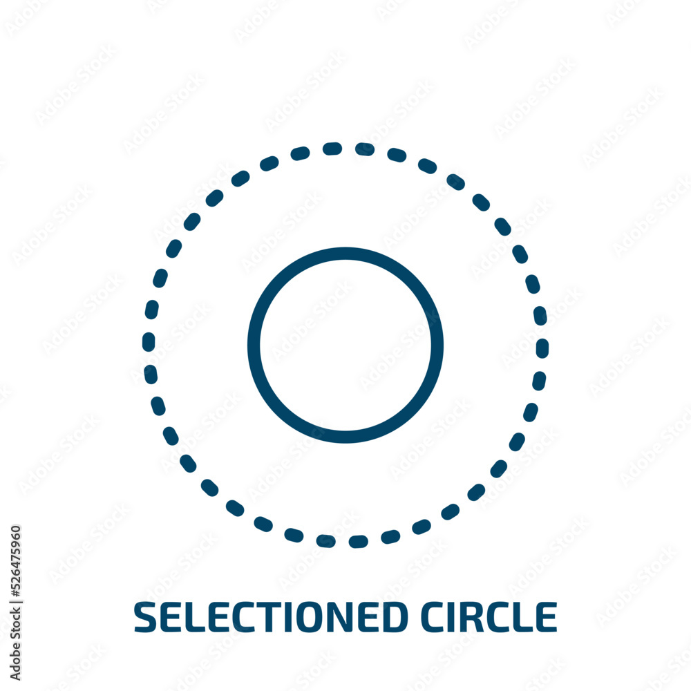 selectioned circle icon from user interface collection. Thin linear selectioned circle, select, check outline icon isolated on white background. Line vector selectioned circle sign, symbol for web and