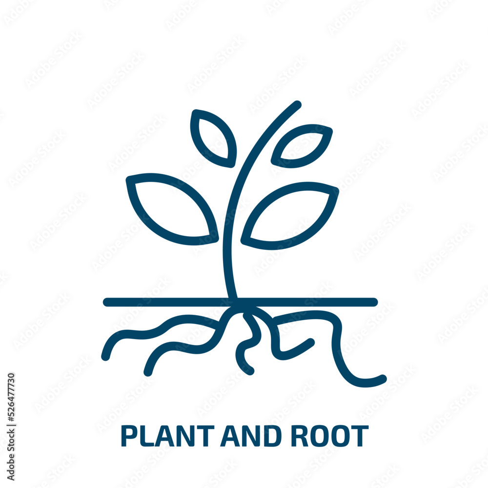 plant and root icon from ecology collection. Thin linear plant and root, root, plant outline icon isolated on white background. Line vector plant and root sign, symbol for web and mobile plant and root icon from ecology collection. Thin linear plant and root, root, plant outline icon isolated on white background. Line vector plant and root sign, symbol for web and mobile