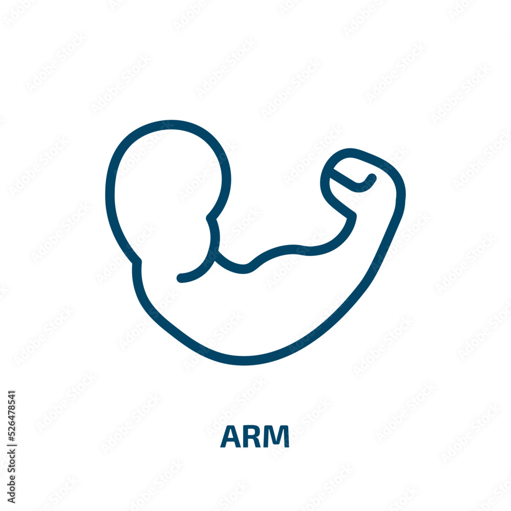 arm icon from medical collection. Thin linear arm, hand, business outline icon isolated on white background. Line vector arm sign, symbol for web and mobile arm icon from medical collection. Thin linear arm, hand, business outline icon isolated on white background. Line vector arm sign, symbol for web and mobile