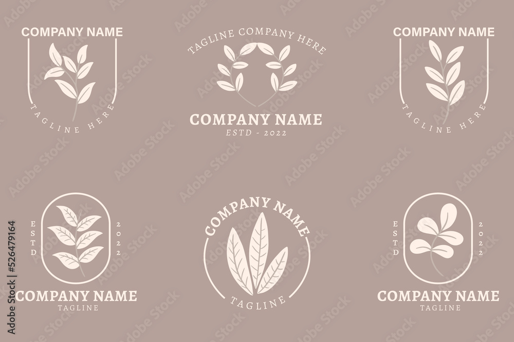 Fototapeta premium Minimalist White Leaf Leaves Nature Logo Collection Style Brown Pastel.