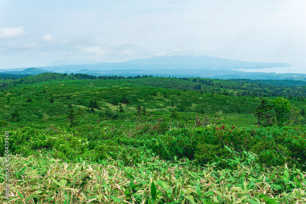 typical landscape of the southern Kuriles, view of Kunashir Island from the slope of Golovnin volcano, Mendeleyev volcano is visible in the distance in the haze