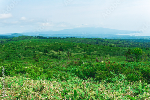 typical landscape of the southern Kuriles, view of Kunashir Island from the slope of Golovnin volcano, Mendeleyev volcano is visible in the distance in the haze photo