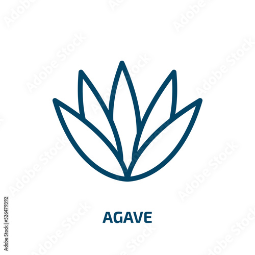 agave icon from nature collection. Thin linear agave, plant, natural outline icon isolated on white background. Line vector agave sign, symbol for web and mobile