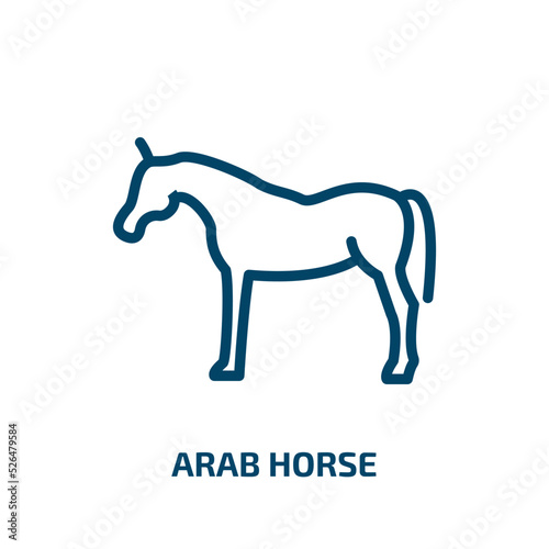 arab horse icon from other collection. Thin linear arab horse, equestrian, horse outline icon isolated on white background. Line vector arab horse sign, symbol for web and mobile