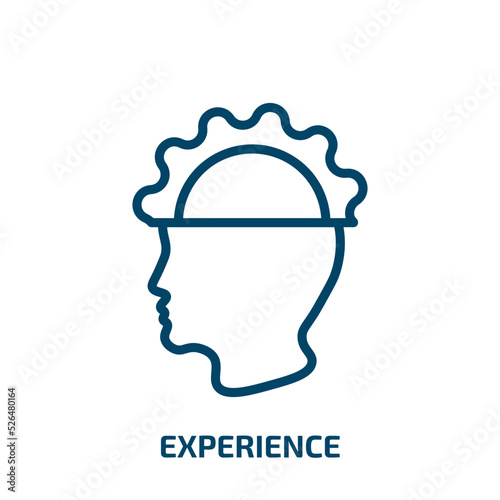 experience icon from startup stategy and success collection. Thin linear experience, business, research outline icon isolated on white background. Line vector experience sign, symbol for web and