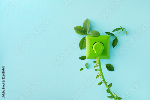 Green power cord in wall socket or outlet with fresh leaves. Ecological friendly and sustainable renewable energy concept.