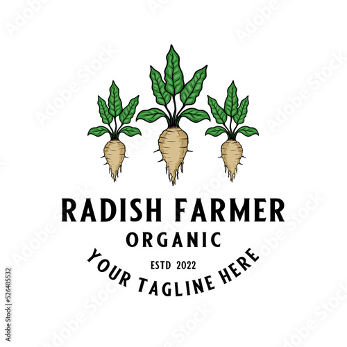 radish logo design concept. vintage three radishes lined inside the frame, perfect for radish vegetable breeding as well as farming.