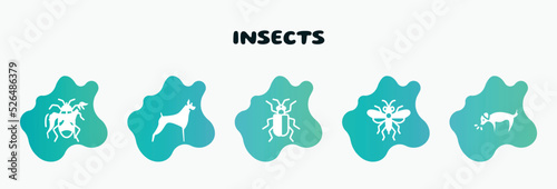 insects filled icons set. flat icons such as boxer, asparagus beetle, sawfly, dog smelling dog, pyrrhocoridae icon collection. can be used web and mobile.