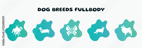 dog breeds fullbody filled icons set. flat icons such as bas hound, leaf butterfly, bernese mountain, tibetan mastiff, st bernard icon collection. can be used web and mobile.