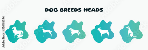 dog breeds heads filled icons set. flat icons such as greyhound, english cocker spaniel, french bulldog, pointer dog, bernese mountain dog icon collection. can be used web and mobile.