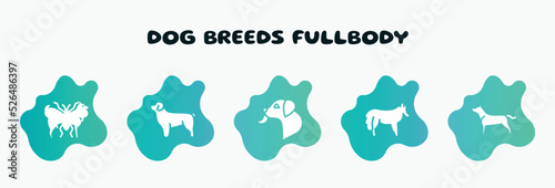 dog breeds fullbody filled icons set. flat icons such as newfoundland, dog licking, shetland sheepdog, american staffordshire terrier, husky icon collection. can be used web and mobile.