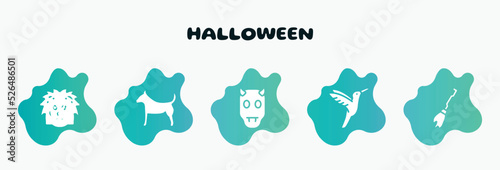 halloween filled icons set. flat icons such as plain dog, devil, hummingbird, broom, pet hotel icon collection. can be used web and mobile.