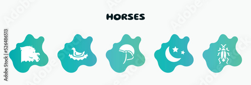 horses filled icons set. flat icons such as bird in nest, jockey hat, moon and stars, roach, horse head icon collection. can be used web and mobile.