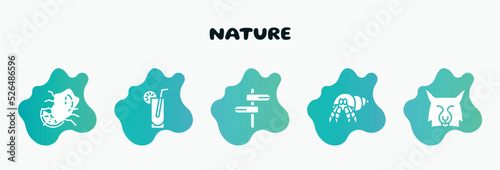 nature filled icons set. flat icons such as lemonade, road, hermit crab, lynx, mussel icon collection. can be used web and mobile.