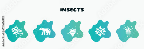 insects filled icons set. flat icons such as polar bear, bedbug, sunflower, louse, gadfly icon collection. can be used web and mobile.