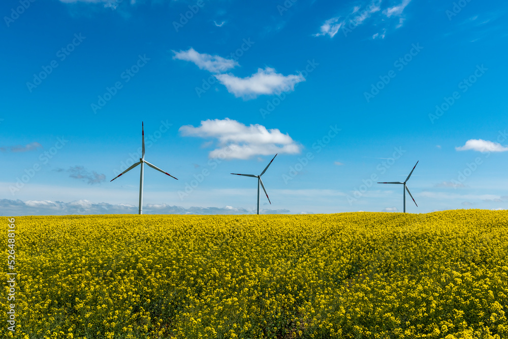 Wind Turbine with blue sky background. Renewable energy concept. Istanbul, Turkey. Wind Turbine with blue sky background. Renewable energy concept. Istanbul, Turkey.