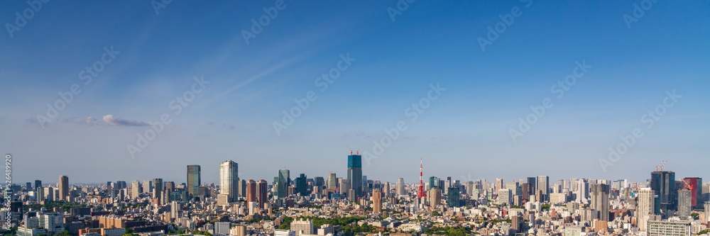 Panoramic view of Tokyo city view at daytime.