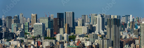 Canvas Print Panoramic view of Tokyo city view at daytime.