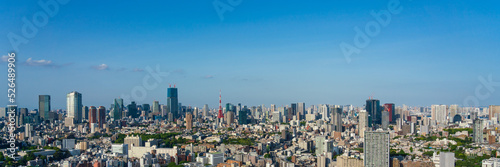 Panoramic view of Tokyo city view at daytime.