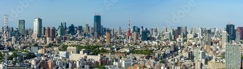 Panoramic view of Tokyo city view at daytime. © hit1912