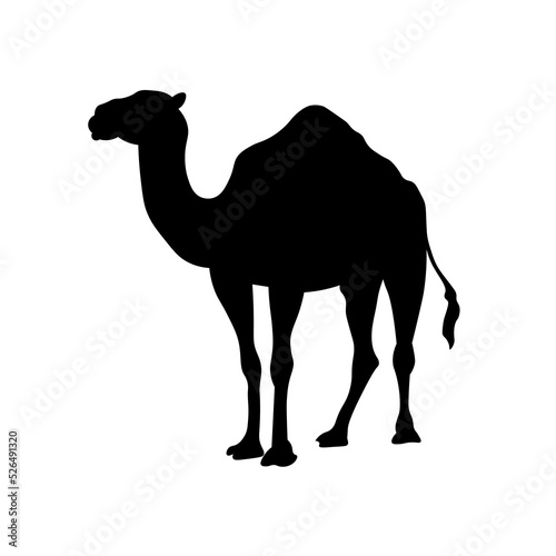 vector illustration of a black colored camel