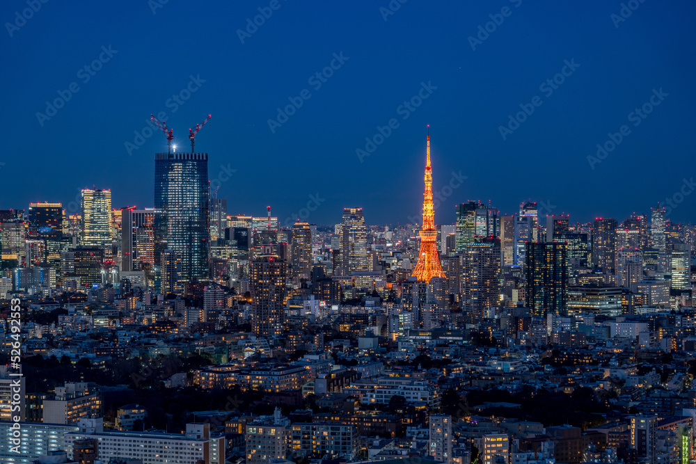 Fototapeta premium Tokyo city view and Tokyo tower at magic hour.
