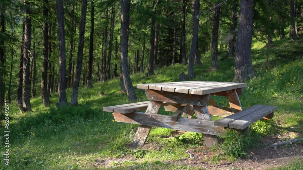 empty table in forest