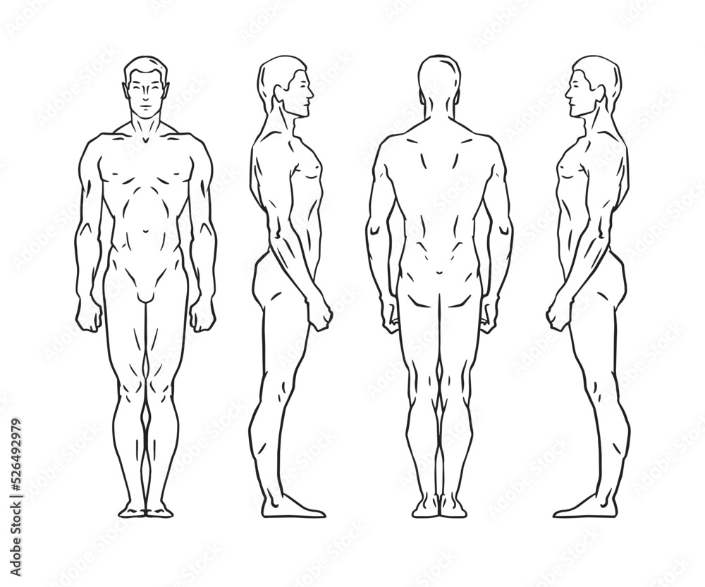 Male body. Man vector outline illustration . Back and Front, rear and side  views. Stock Vector