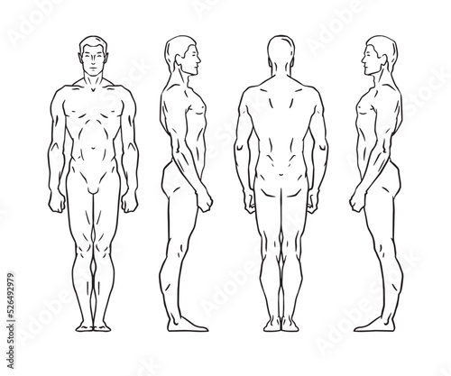 Male body. Man vector outline illustration . Back and Front, rear and side views.