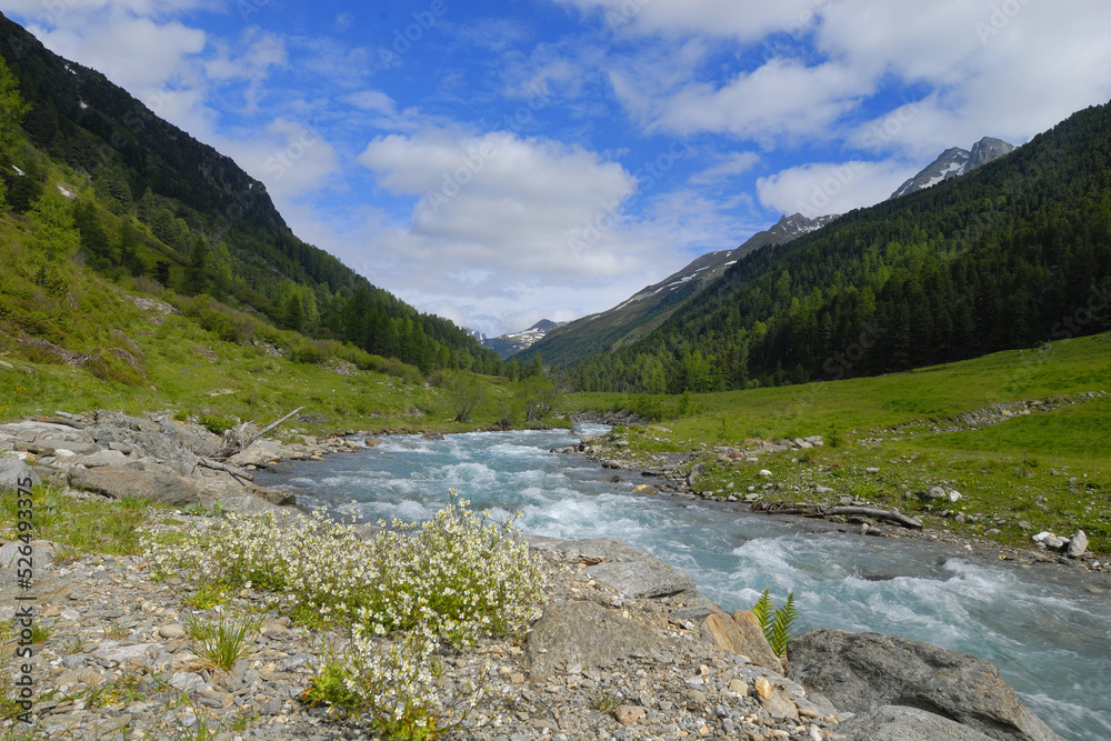 Fototapeta premium Defereggental in Österreich im Sommer