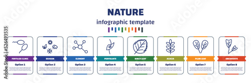 infographic template with icons and 8 options or steps. infographic for nature concept. included fertilize clinic, season, element, perfoliate, birch leaf, acacia, plum leaf, obcordate icons.