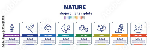 infographic template with icons and 8 options or steps. infographic for nature concept. included american mountain ash, obovate, linden leaf, orbicular, dry leaf, woods, dune, fasciculate icons.